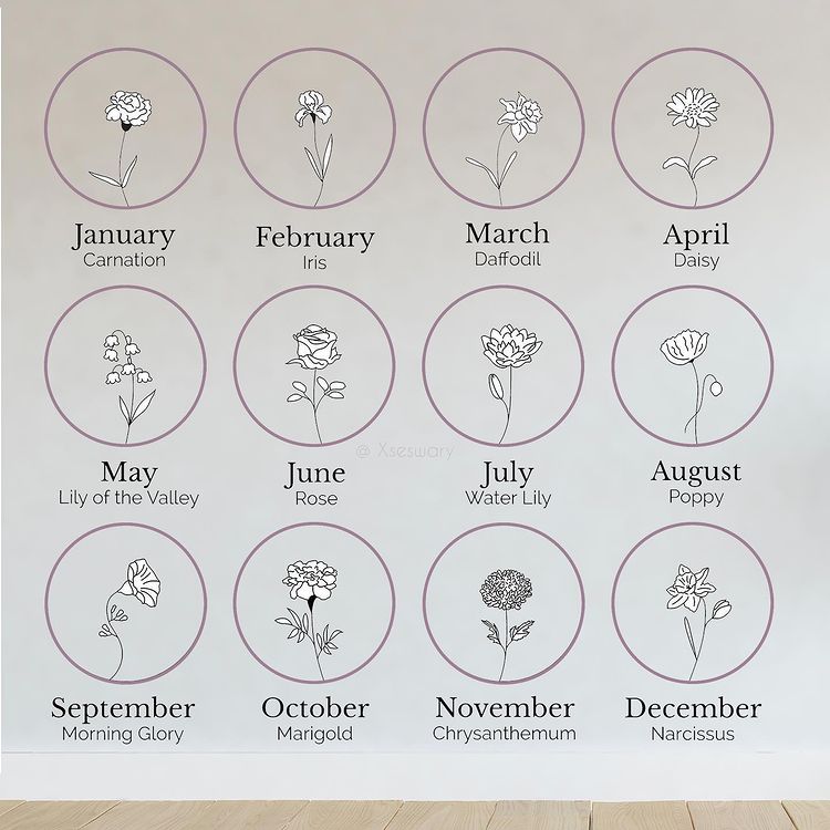 DNX0210013 - XSESWARY