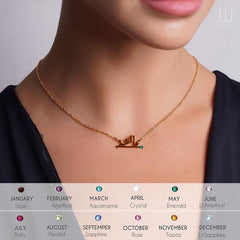 DNX0210013 - XSESWARY