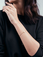 DNX00570 - XSESWARY